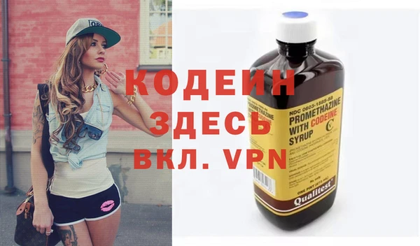 индика Дмитров