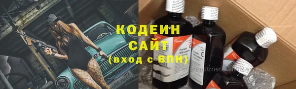 амф Елизово