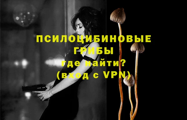 амф Елизово