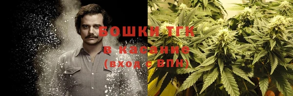 амф Елизово