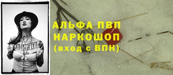 амф Елизово