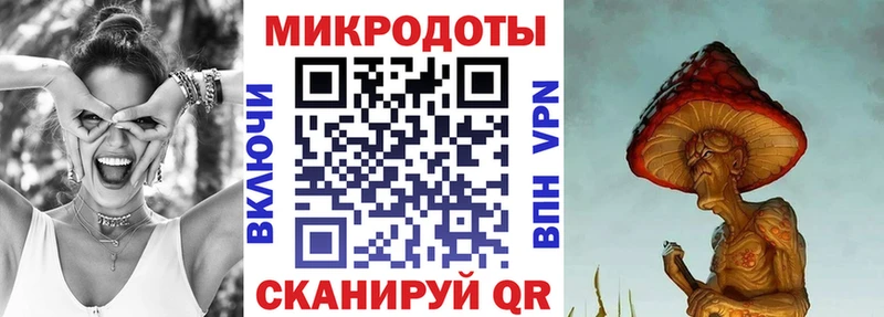 Псилоцибиновые грибы Psilocybe Наро-Фоминск