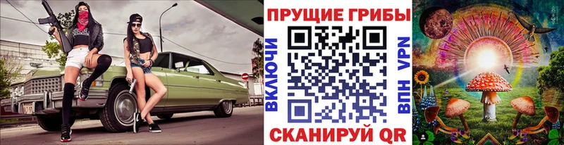 Псилоцибиновые грибы Cubensis  Купить где  Наро-Фоминск 